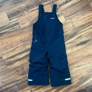 Patagonia blue snow pants